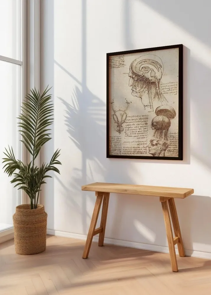 Estudio del cerebro (Leonardo Da Vinci) Fine Artic