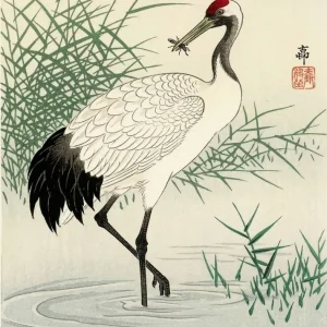 La garza japonesa Fine Artic