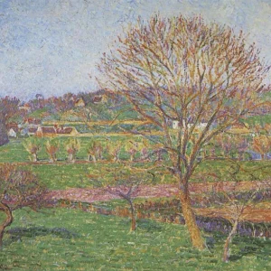 Gran Nogal en Eragny (Pissarro) Fine Artic