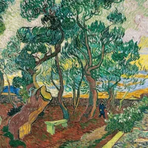 Jardín del hospital de Saint-Rémy (Van Gogh) Fine Artic
