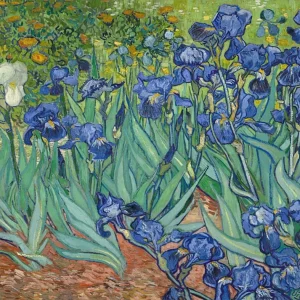 Lirios (Van Gogh) Fine Artic