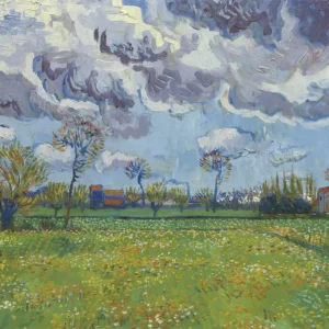 Paisaje con flores bajo un cielo tormentoso (Van Gogh) Fine Artic