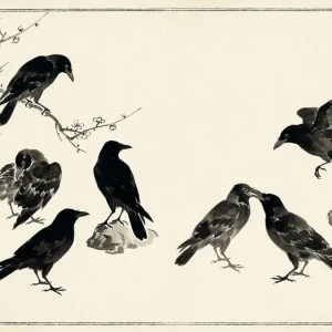 Pájaros negros Fine Artic
