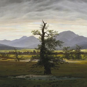 El árbol solitario (Friedrich) Fine Artic