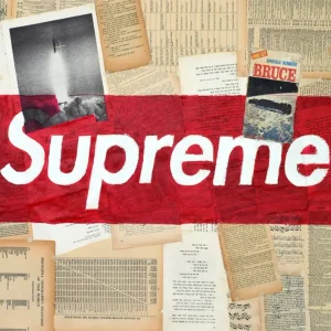 Supreme collage Fine Artic