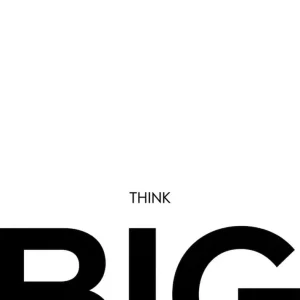 Think BIG Fine Artic