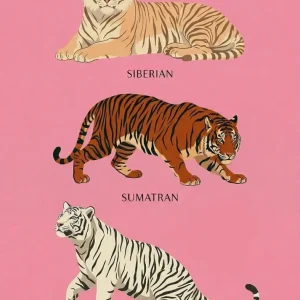 Tres tristes tigres Fine Artic