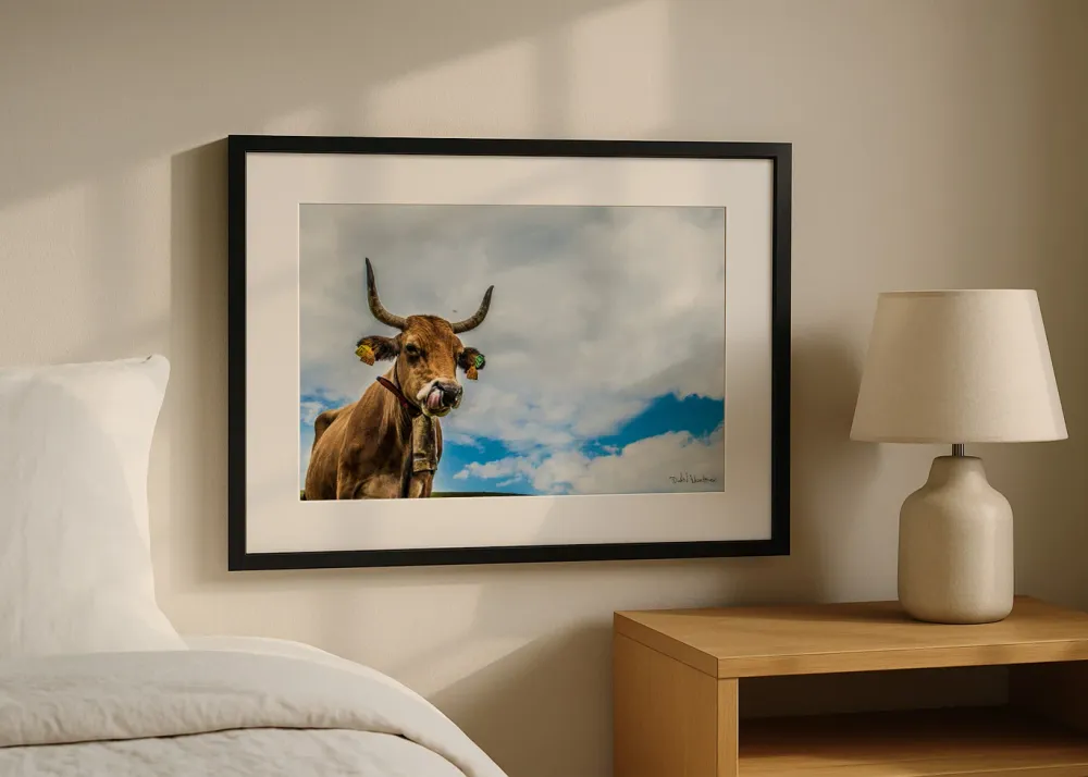 Vaca asturiana Fine Artic