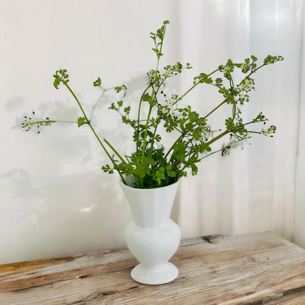 FLORERO ROMANTICO BLANCO
