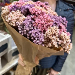 Ramo Seco de Statice Multicolor – Colección Elegancia Natural Floristeria Lujo de Caja de Rosas Madrid