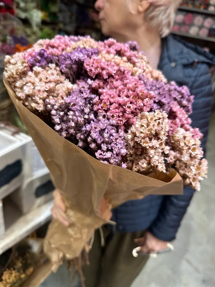 Ramo Seco de Statice Multicolor – Colección Elegancia Natural Floristeria Lujo de Caja de Rosas Madrid