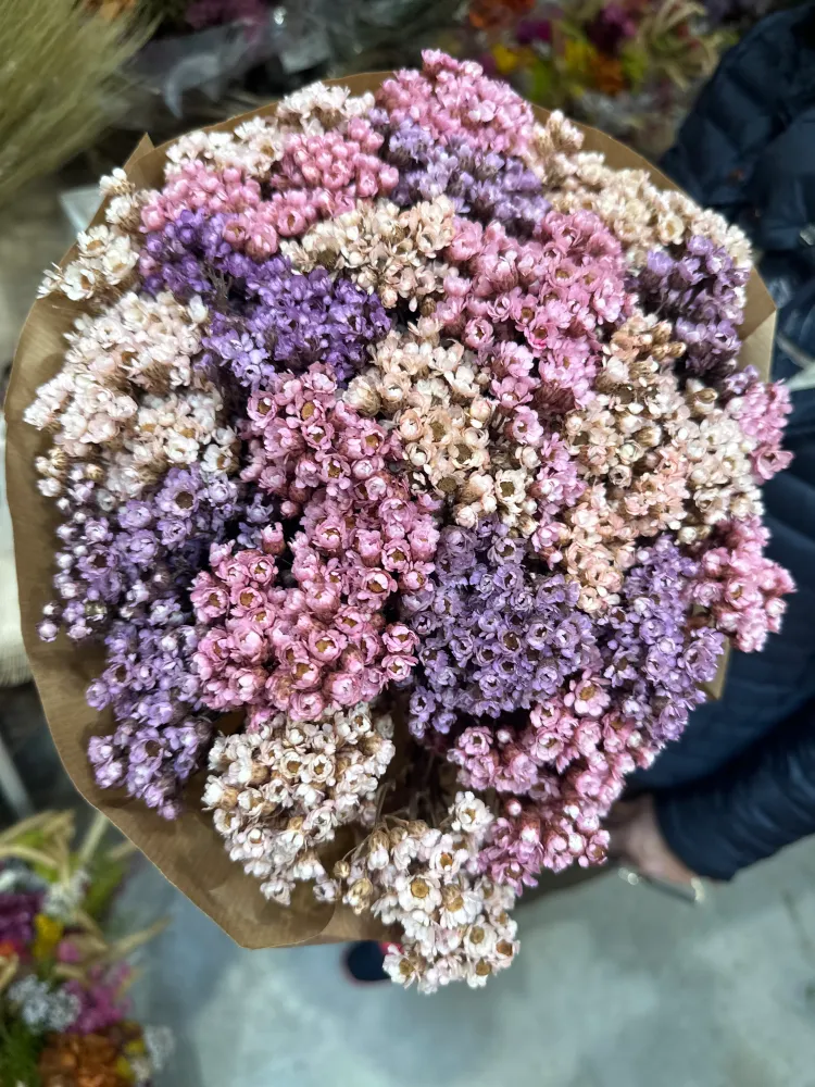 Ramo Seco de Statice Multicolor – Colección Elegancia Natural Floristeria Lujo de Caja de Rosas Madrid