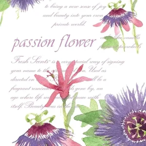 BOLSA PERFUMADA - PASSION FLOWER FRESH SCENTS
