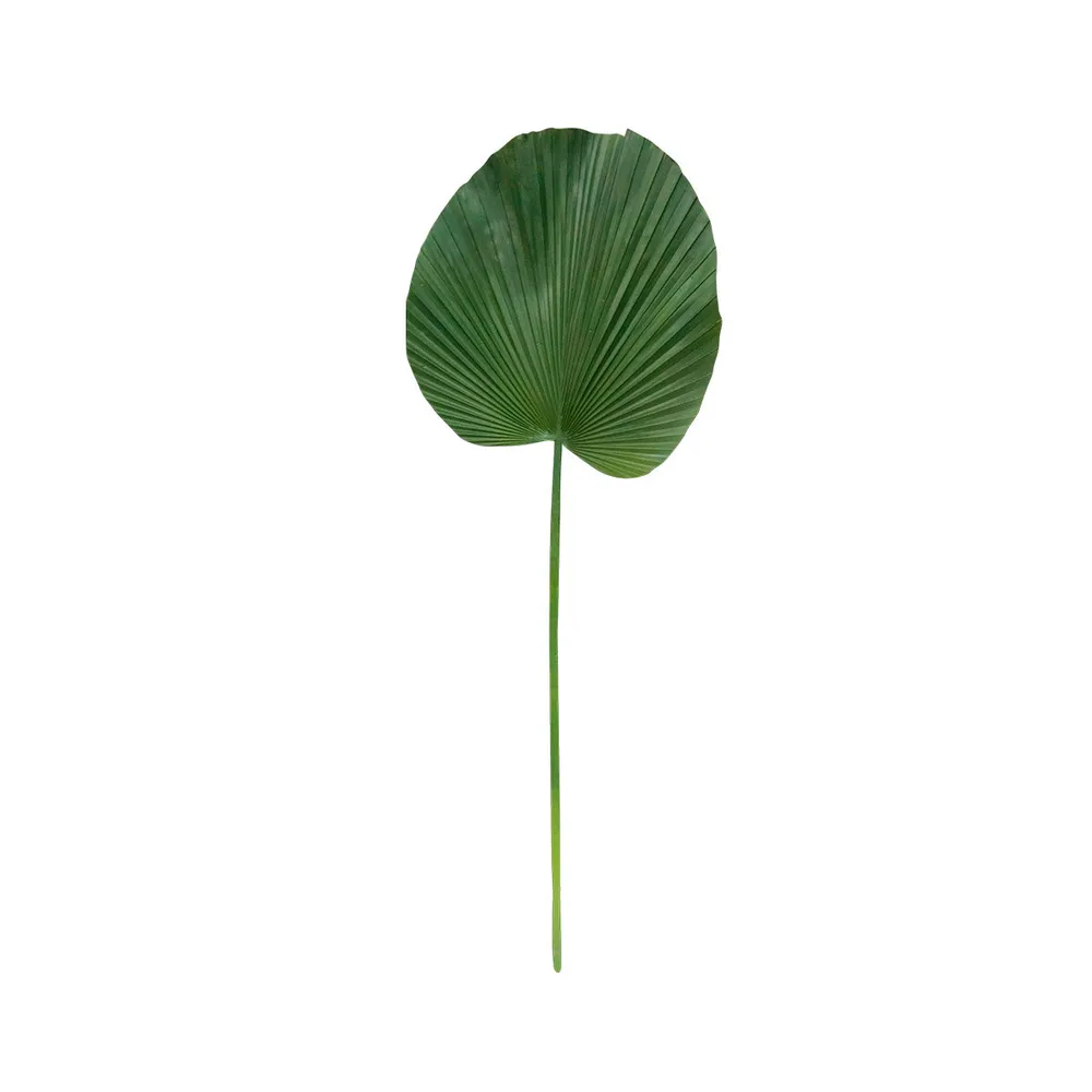 Hoja decorativa Palma - Verde GAFF