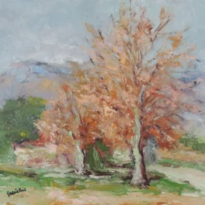 Emiliano Garcí Tur - El Vallès Gaudifond Arte