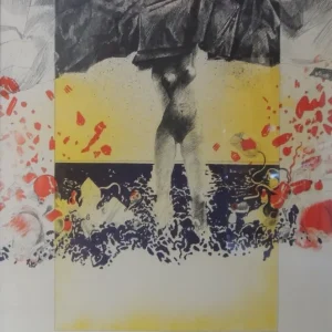 Francesc Artigau - Desnudo Gaudifond Arte