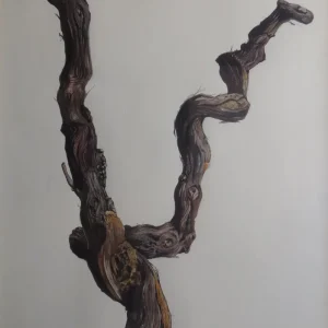 Isidro Ventura - Cep Gaudifond Arte