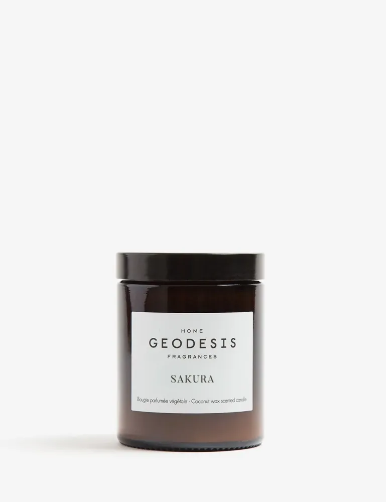 sakura Geodesis