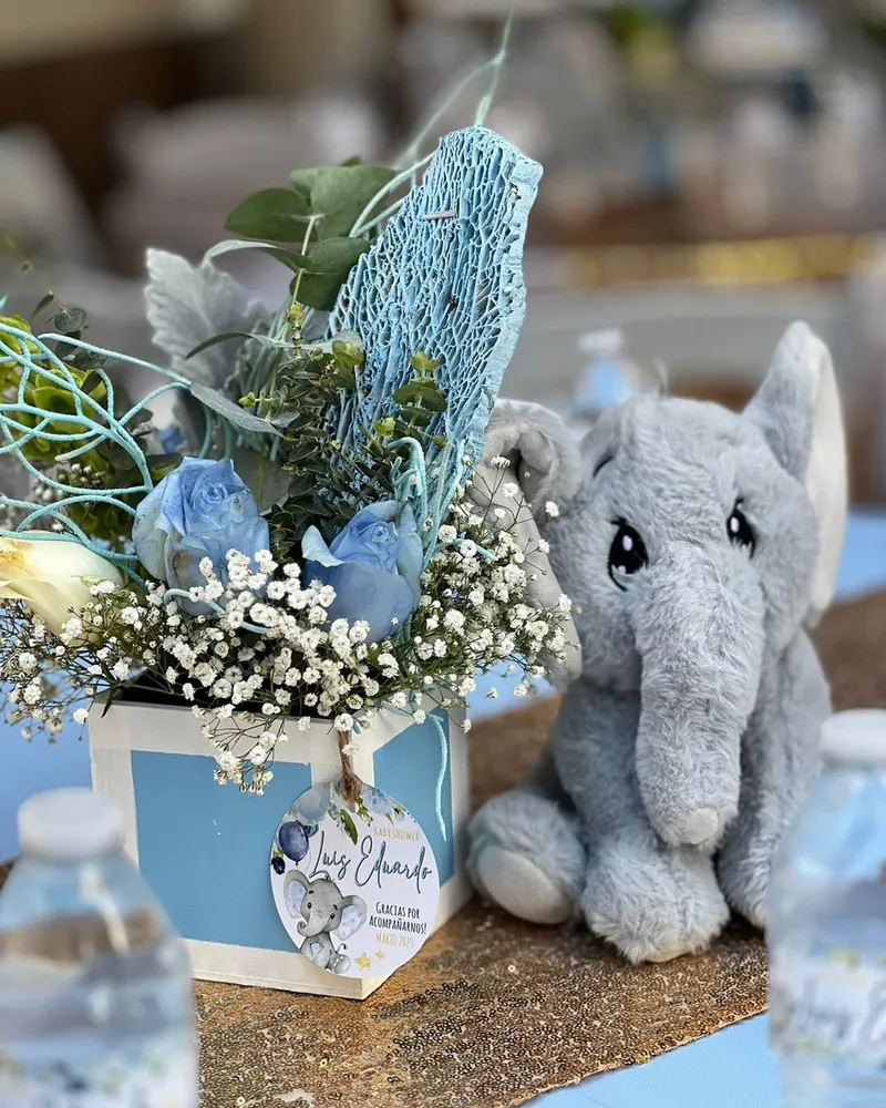 Baby Shower: Paquete B Gift Box Inc