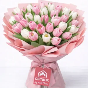 Caricia de Tulipanes: 24 Piezas GiftBox Tijuana Eventos