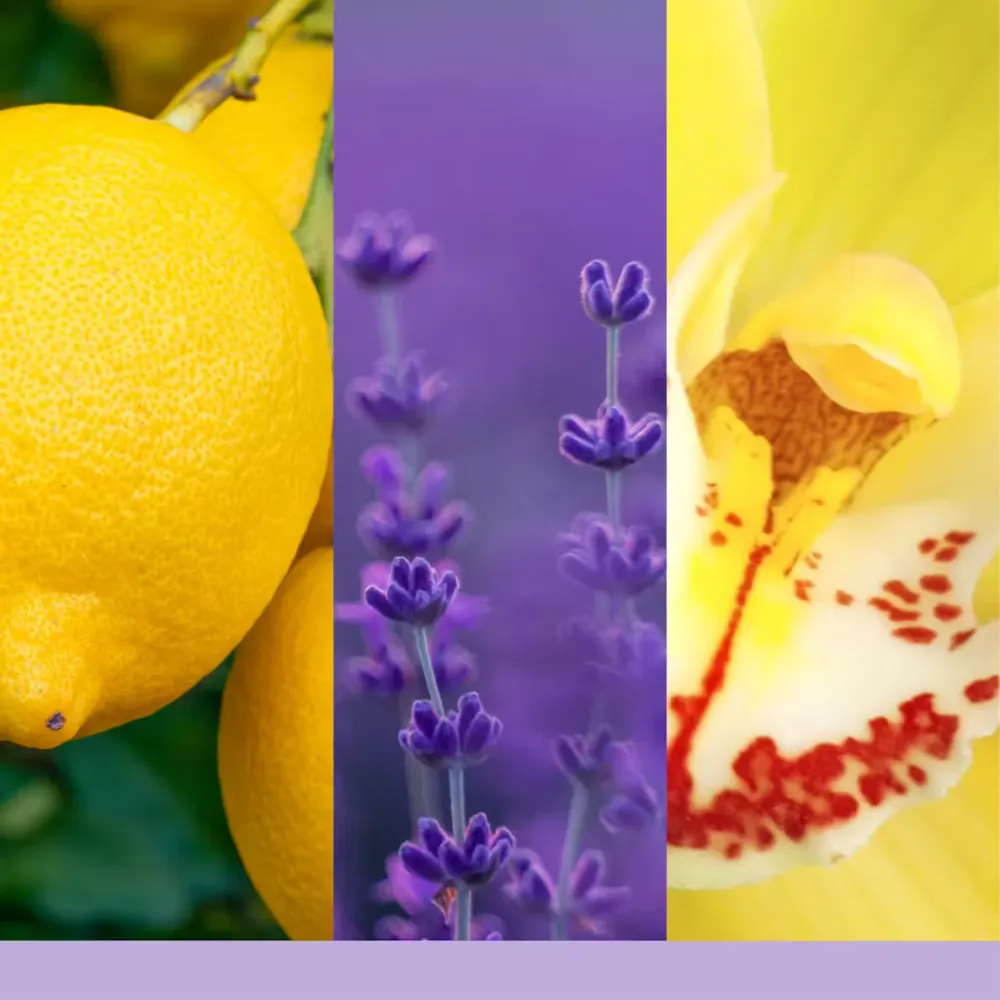 Vela Pequeñ LEMON LAVENDER (122g) Gotas de Magia
