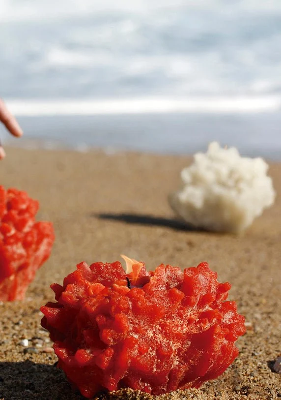 Coral | Vela Grace & Co.
