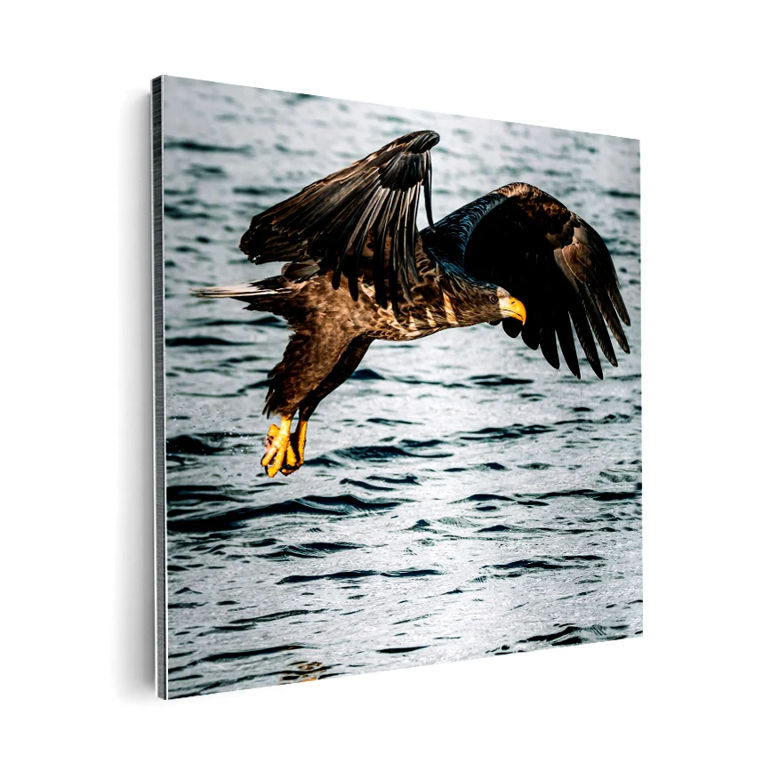 Águila Real Poster