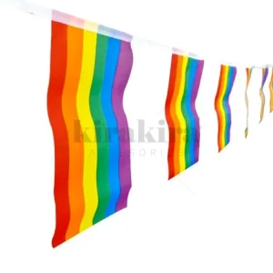 Guirnalda Bandera Diversidad Arcoiris 3 Metros 1 Unidad