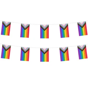 Guirnalda Bandera De La Diversidad 3 Metro 1 Unidad