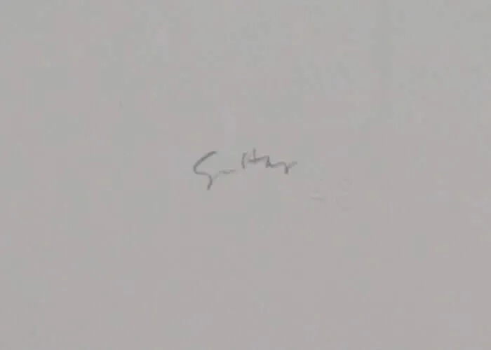GUTTUSO Renato, Zefis Usbeck, 1973, Aguafuerte aguafuerte original firmado