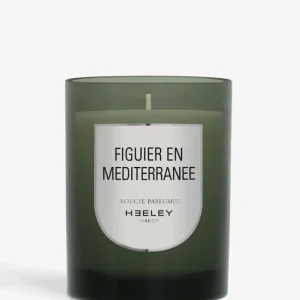 figuier en mediterranee Heeley