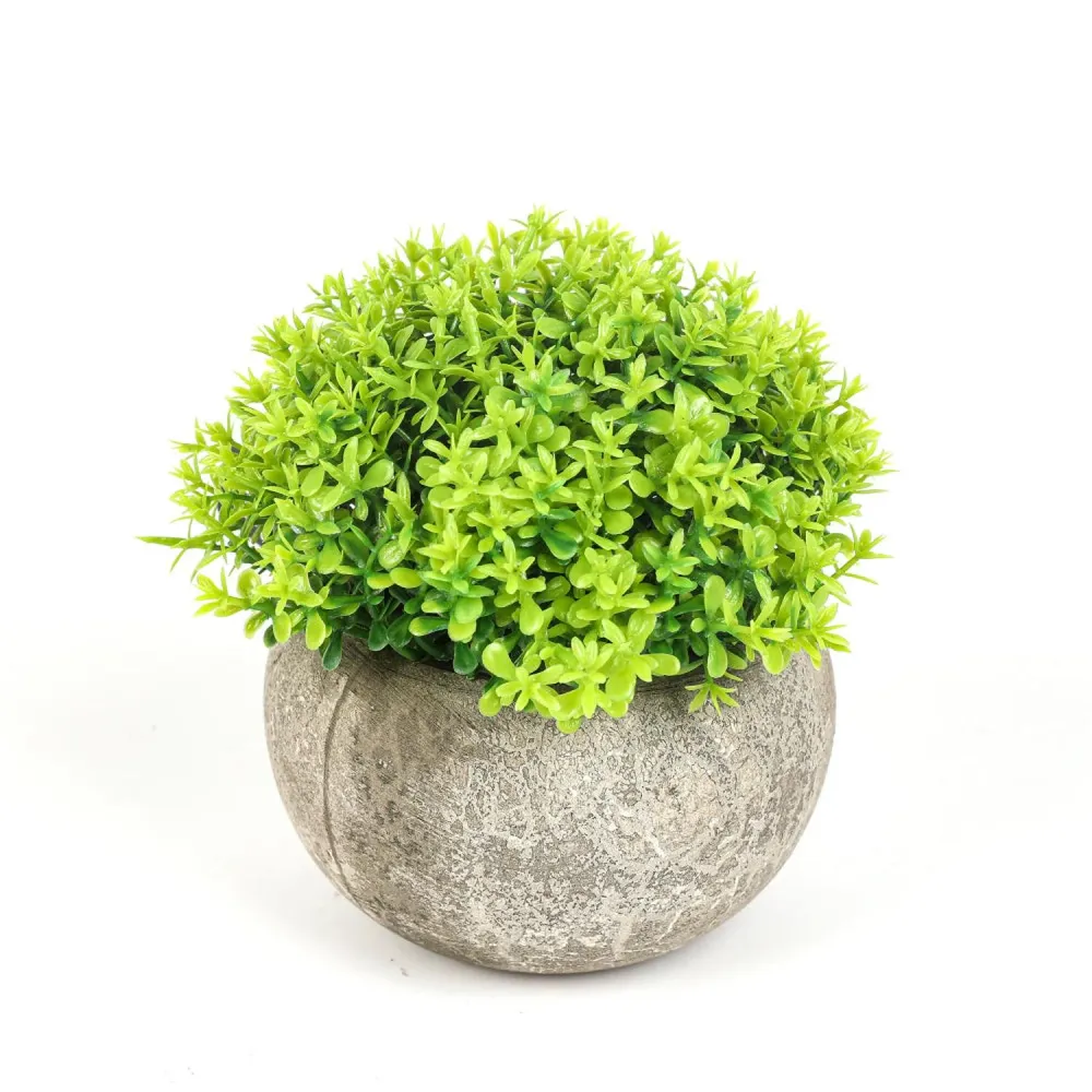 Planta Artificial Boj 11cm HomeWell