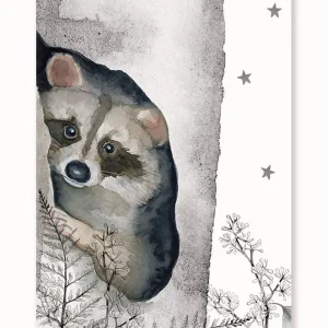 Cuadro infantil MAPACHE Il Mondo di Alex