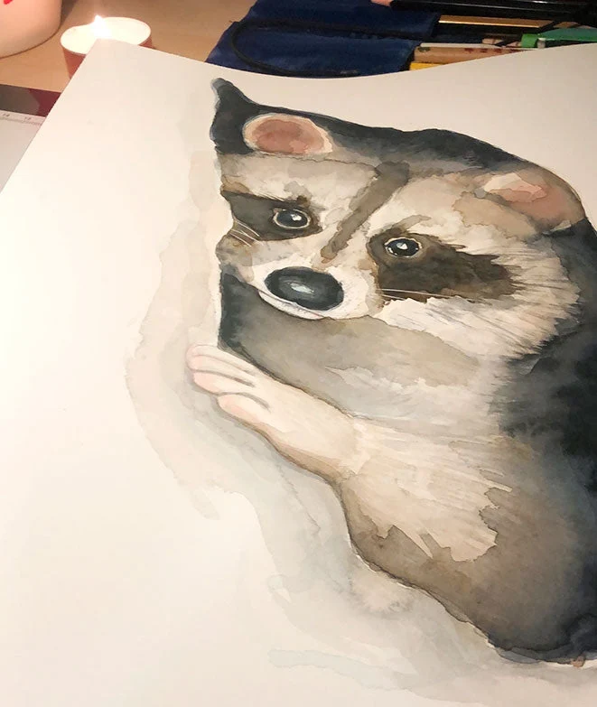 Cuadro infantil MAPACHE Il Mondo di Alex