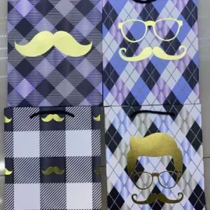 BOLSA REGALO M 2231 26*10*32 Importacion Luna