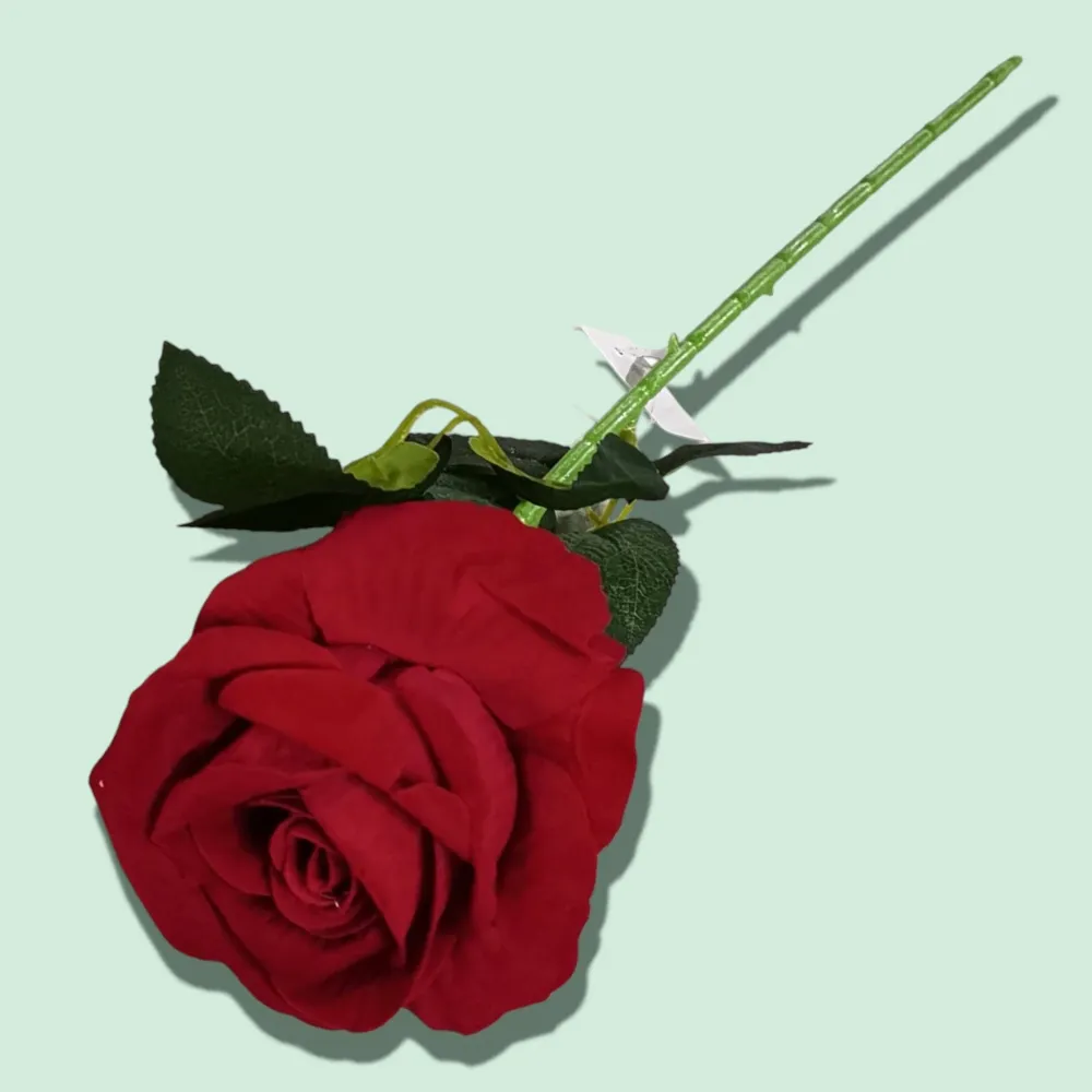 ROSA 1RAMO ZF02 B Importacion Luna