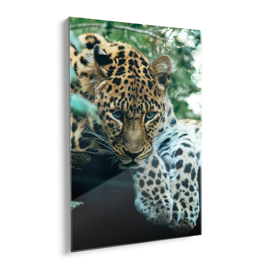 Jaguar Vigilante Poster