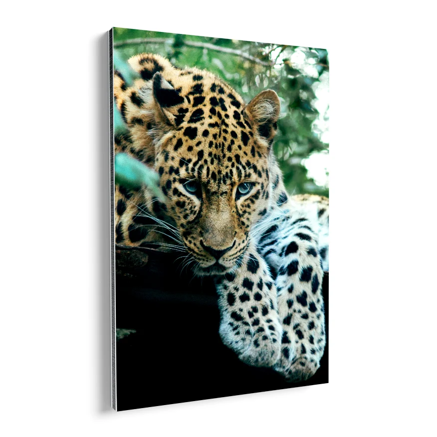 Jaguar Vigilante Poster