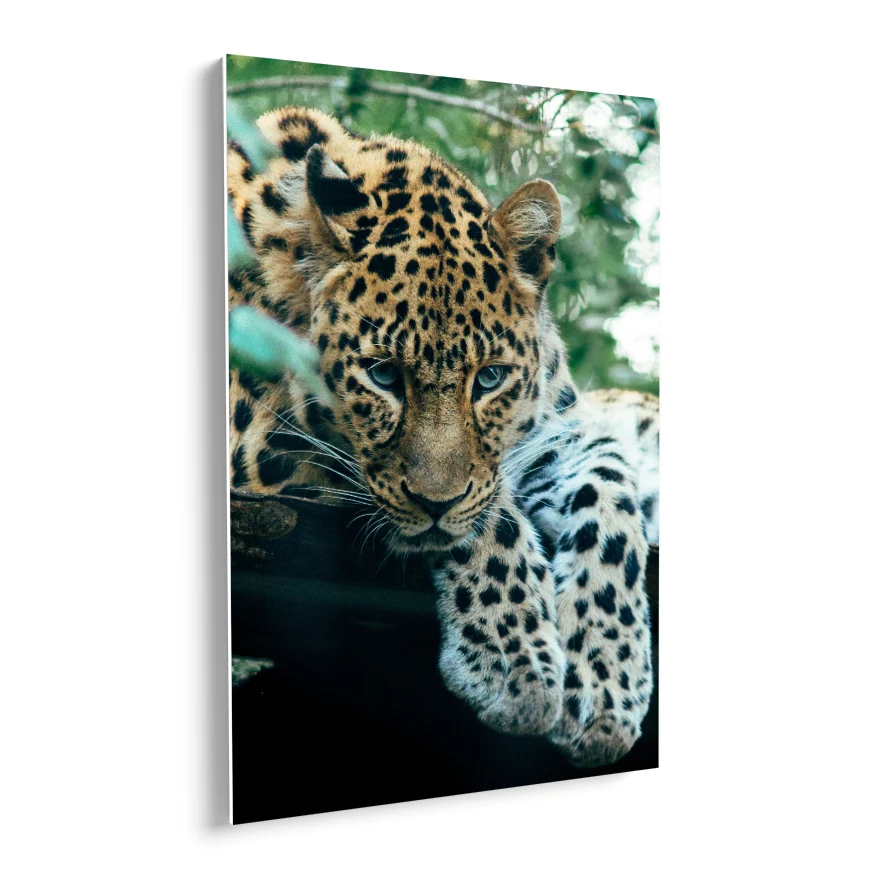 Jaguar Vigilante Poster