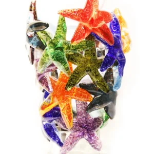 Clúster de estrellas de mar multicolor IV John Gibbons