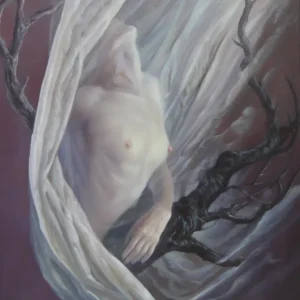 José Marí Llobet - Transparencia