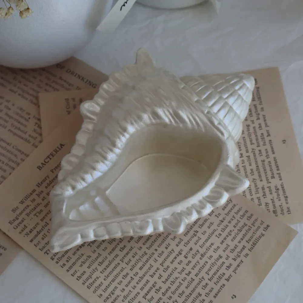 Joyero “Shell D” Blanca