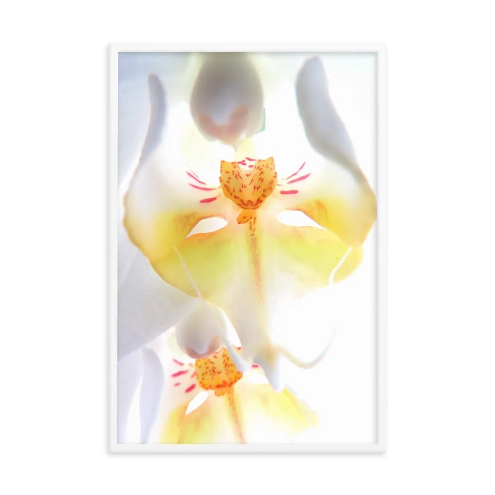 Afiche - Orquídea amarilla Kuratoren von artlia