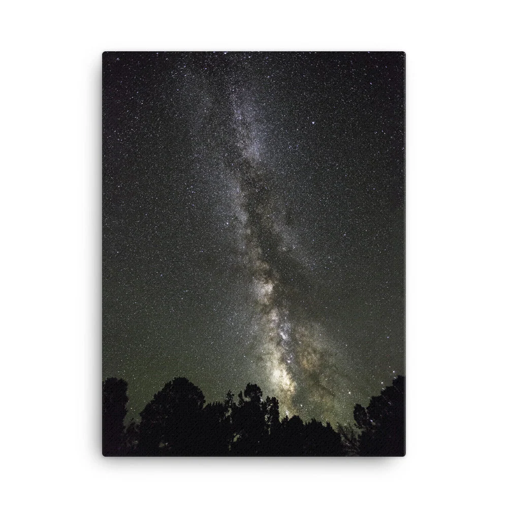 Cuadro - cielo estrellado Cielo estrellado Kuratoren von artlia