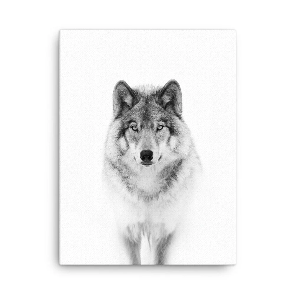 Cuadro - Lobo tranquilo Kuratoren von artlia