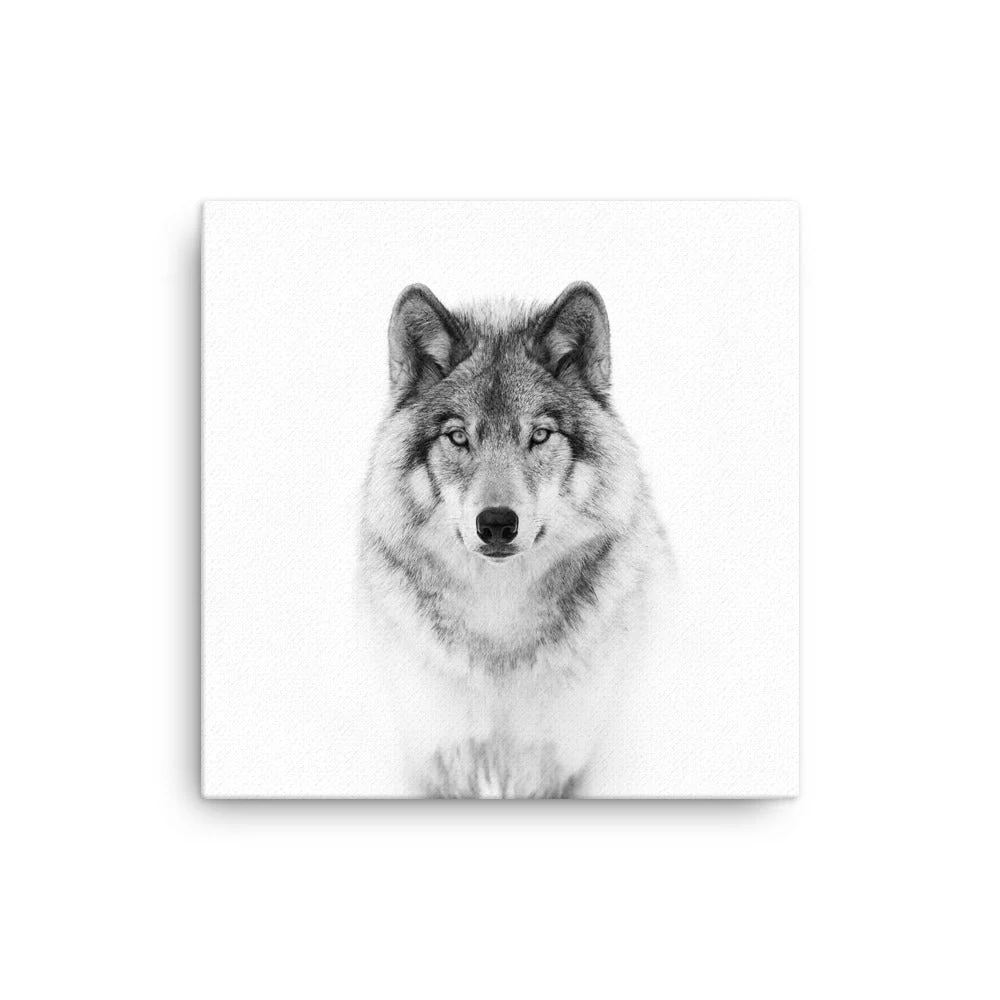 Cuadro - Lobo tranquilo Kuratoren von artlia