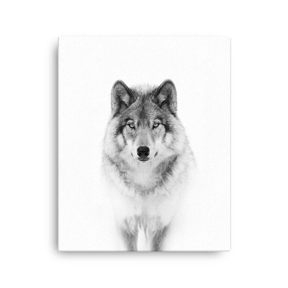Cuadro - Lobo tranquilo Kuratoren von artlia