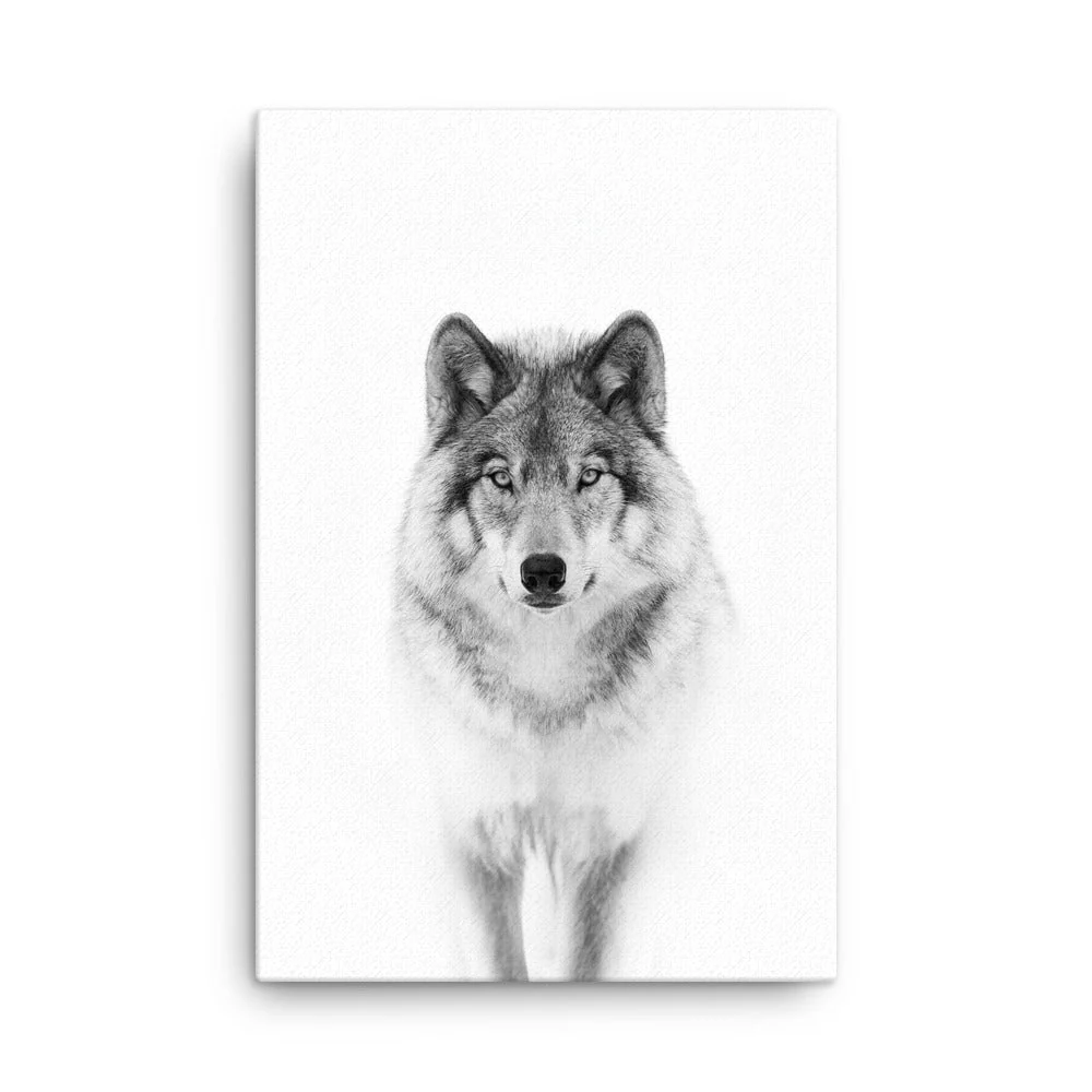 Cuadro - Lobo tranquilo Kuratoren von artlia
