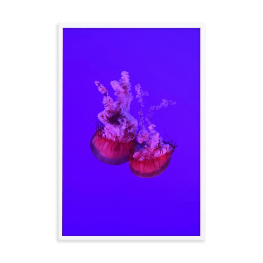 Medusa rosa - cartel Kuratoren von artlia