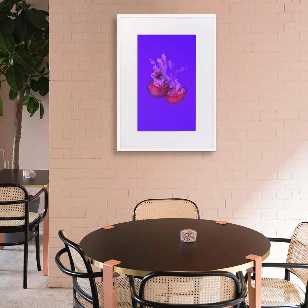 Medusa rosa - cartel Kuratoren von artlia